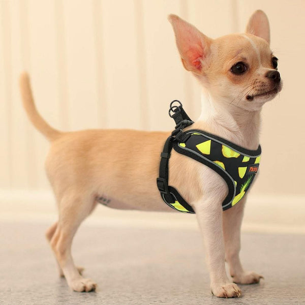 Load image into Gallery viewer, Fruit print pet harness adjustable and reflective