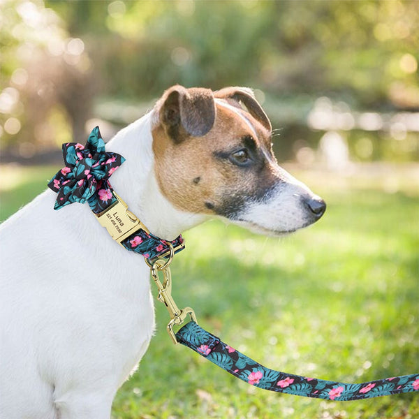 Load image into Gallery viewer, Floral Dream Flower - 2 Piece Set - Leash & Personalised Collar