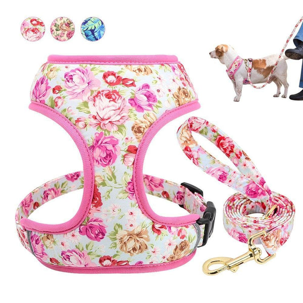 Load image into Gallery viewer, floral dog harness and matching leash set