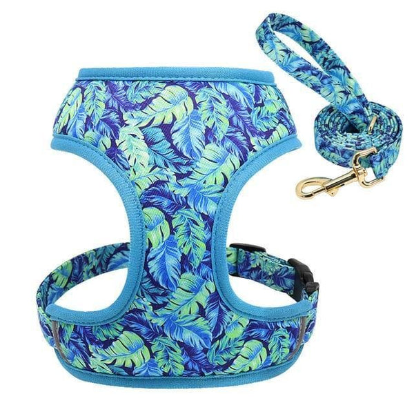 Load image into Gallery viewer, floral dog harness and matching leash set