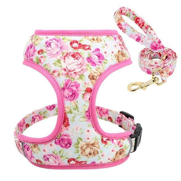 Load image into Gallery viewer, floral dog harness and matching leash set