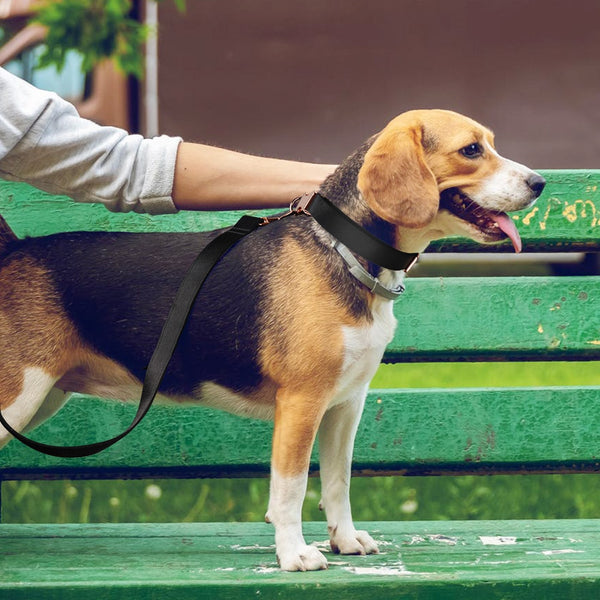 Load image into Gallery viewer, Black Rose - 2 Piece Set - Leash & Personalised Collar