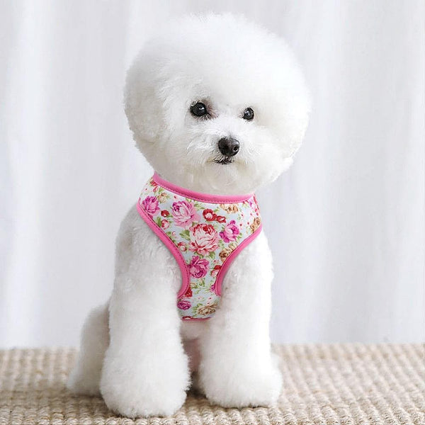 Load image into Gallery viewer, floral dog harness and matching leash set