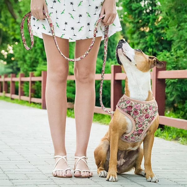 Load image into Gallery viewer, floral dog harness and matching leash set