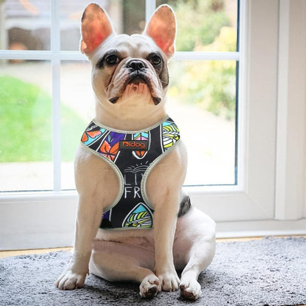 Load image into Gallery viewer, Malibu style dog harness with reflective detail frenchie