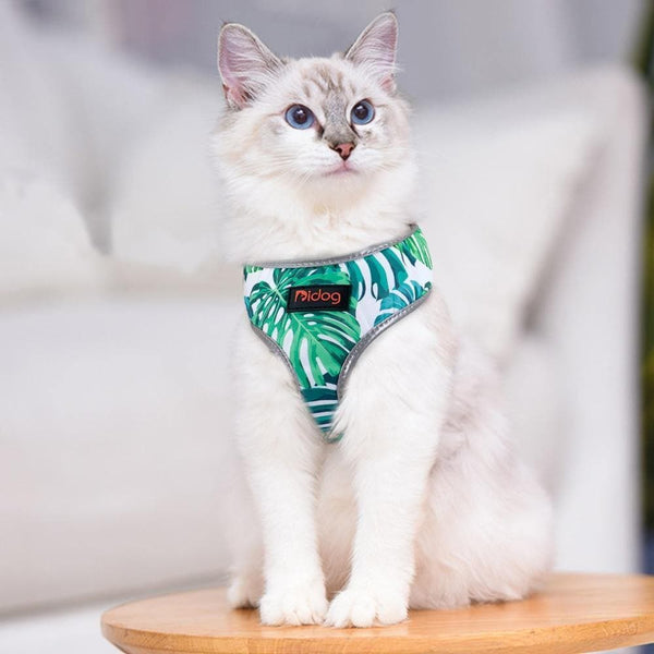 Load image into Gallery viewer, palm springs style doh harness reflective