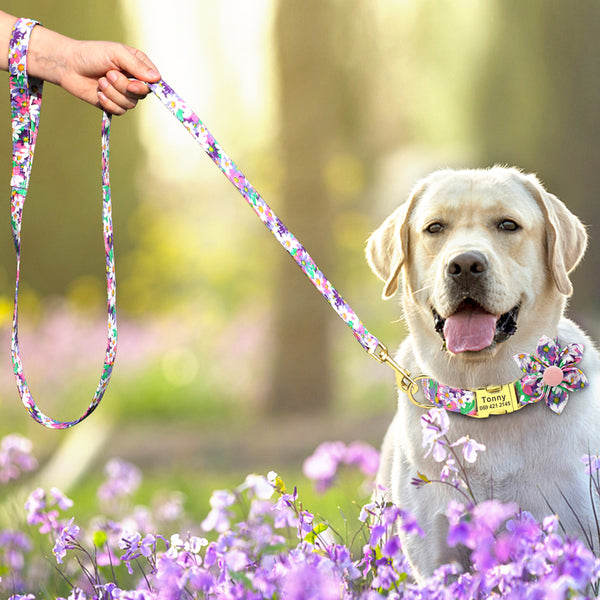 Load image into Gallery viewer, Sweet Spring - Leash & Personalised Collar