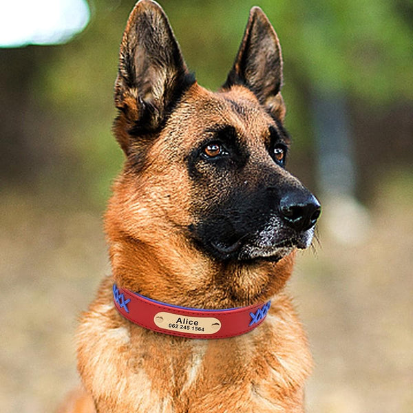 Load image into Gallery viewer, Colour Plait Gold Wide - Personalised Collar