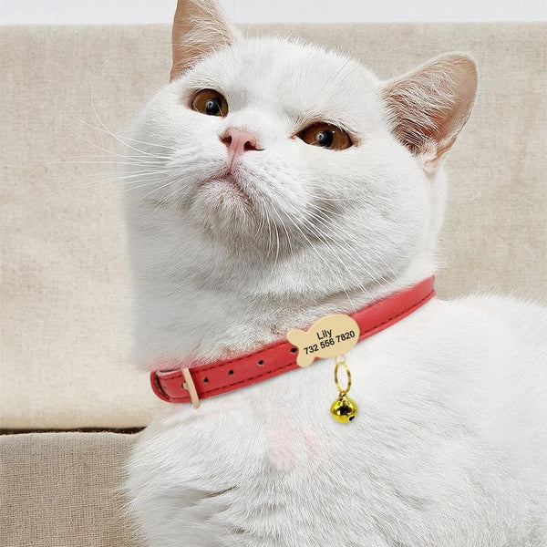 Load image into Gallery viewer, personalised cat collar with tag engraved name and phone number