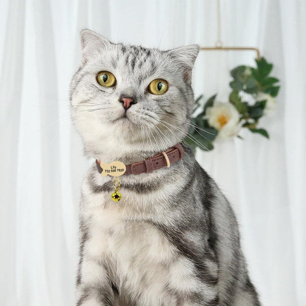 Load image into Gallery viewer, personalised cat collar with tag engraved name and phone number