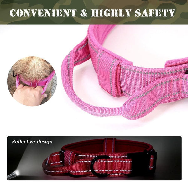 Load image into Gallery viewer, personalised dog collar with engraving of name and phone number