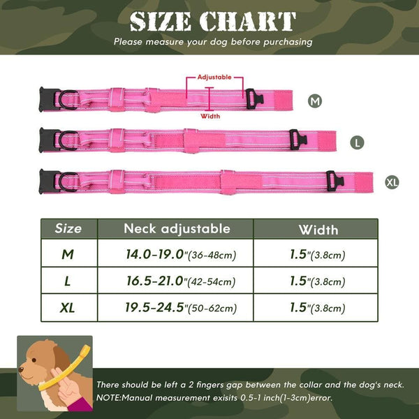 Load image into Gallery viewer, personalised dog collar with engraving of name and phone number