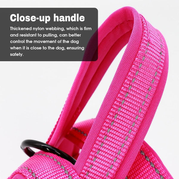 Load image into Gallery viewer, Controller No Pull Harness