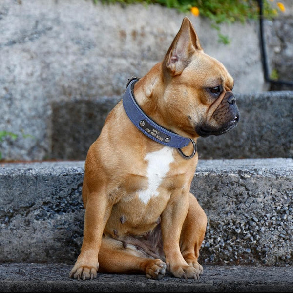 Load image into Gallery viewer, Milano - Personalised Collar