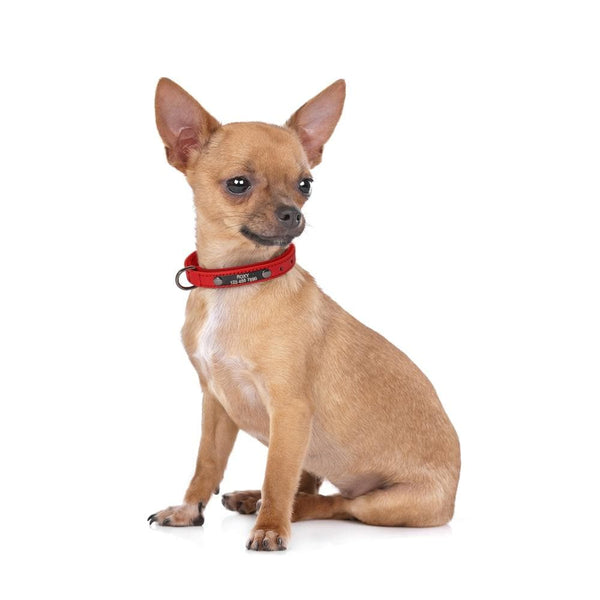 Load image into Gallery viewer, Milano - Personalised Collar