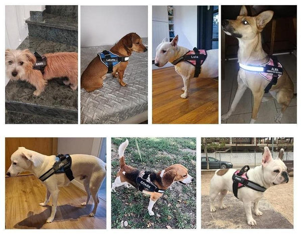 Load image into Gallery viewer, ID Pup Pink Camo - Personalised Harness