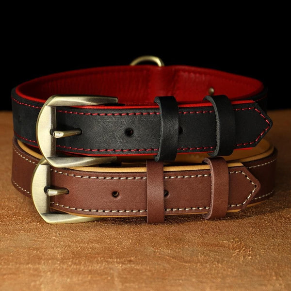 Load image into Gallery viewer, Master Stitch - Personalised Collar