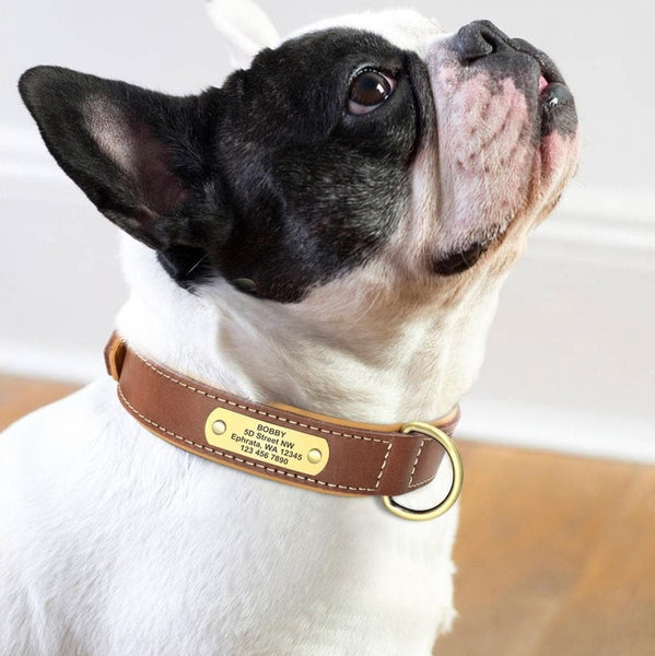 Load image into Gallery viewer, Master Stitch - Personalised Collar