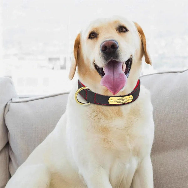 Load image into Gallery viewer, Master Stitch - Personalised Collar