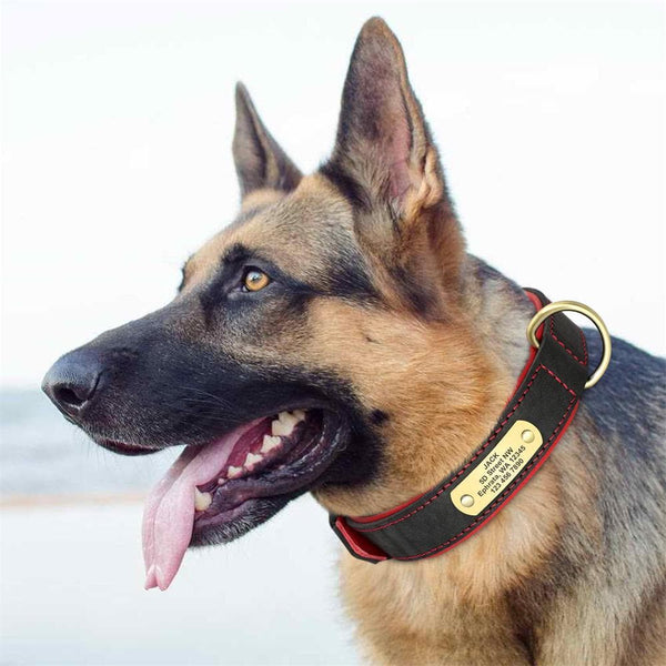 Load image into Gallery viewer, Master Stitch - Personalised Collar