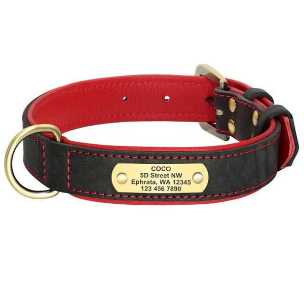 Load image into Gallery viewer, Master Stitch - Personalised Collar