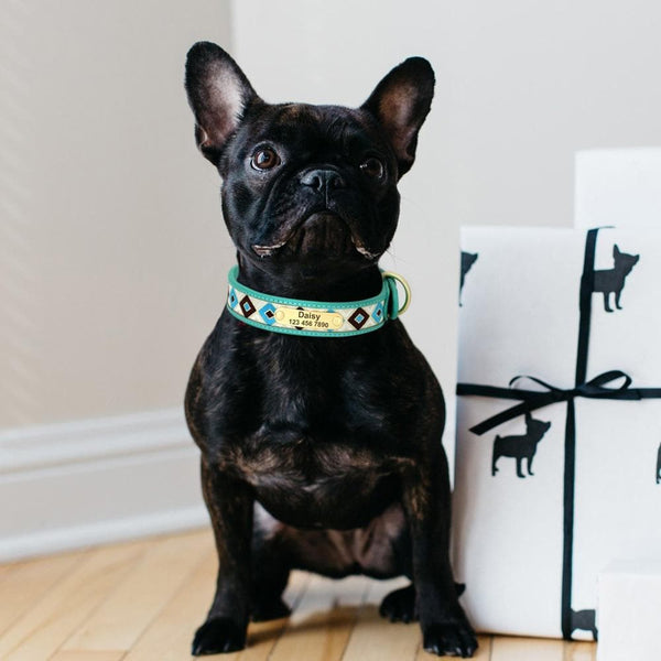 Load image into Gallery viewer, Chief Co - Personalised Collar