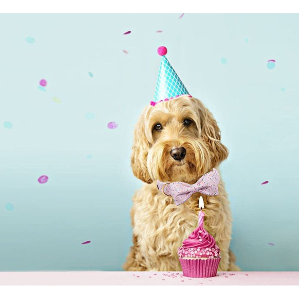 Load image into Gallery viewer, Strawberry Sprinkles Collar