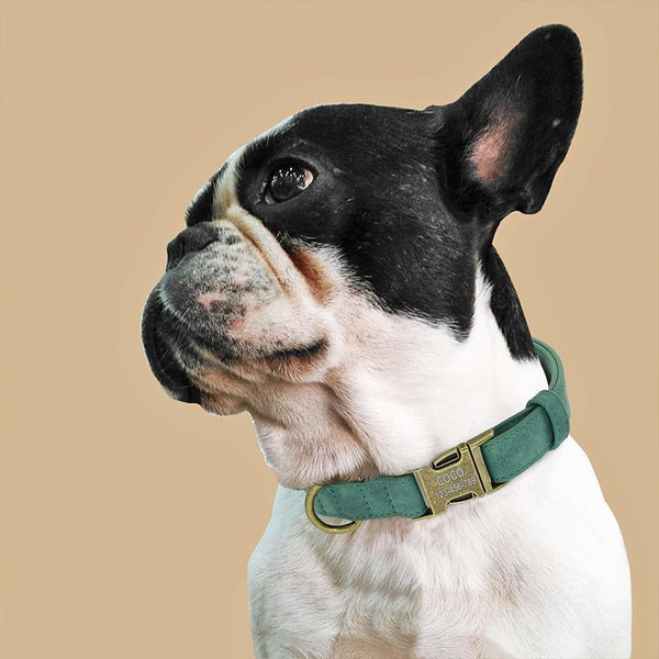 Load image into Gallery viewer, Vintage Bronze - Personalised Collar