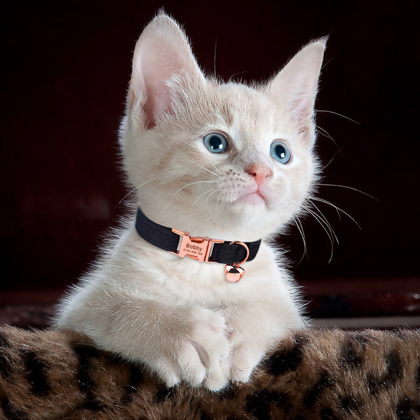 Load image into Gallery viewer, Black Rose - Personalised Cat Collar