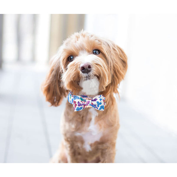 Load image into Gallery viewer, Butterfly Bliss Collar