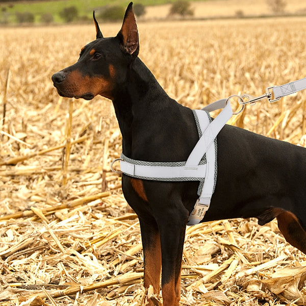 Load image into Gallery viewer, Sleek Pup - Personalised Harness