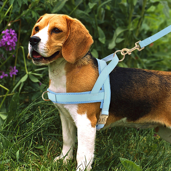 Load image into Gallery viewer, Sleek Pup - Personalised Harness