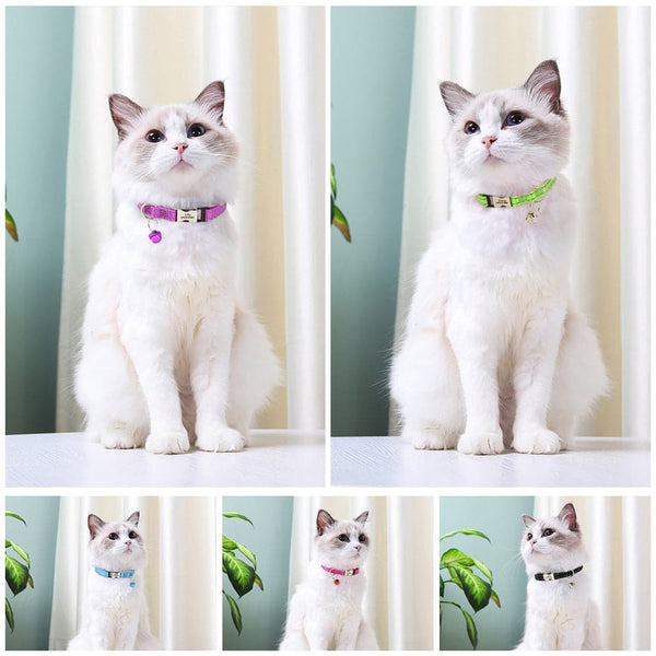 Load image into Gallery viewer, Style Line Solid - Personalised Cat Collar