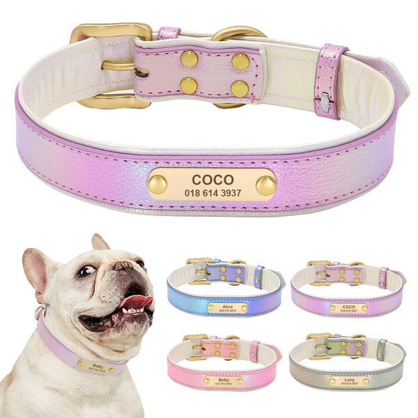 Load image into Gallery viewer, Pastel Chameleon - Personalised Collar
