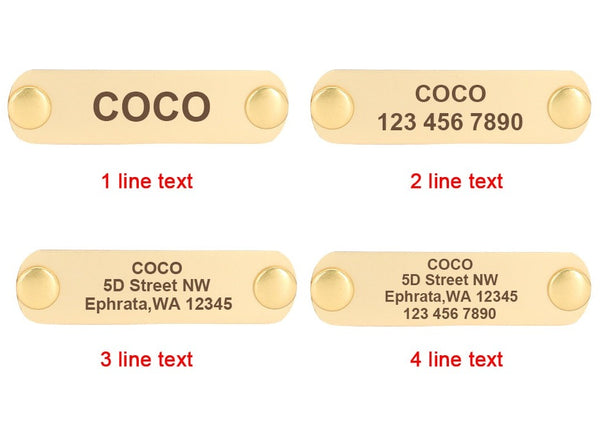 Load image into Gallery viewer, Pastel Chameleon - Personalised Collar