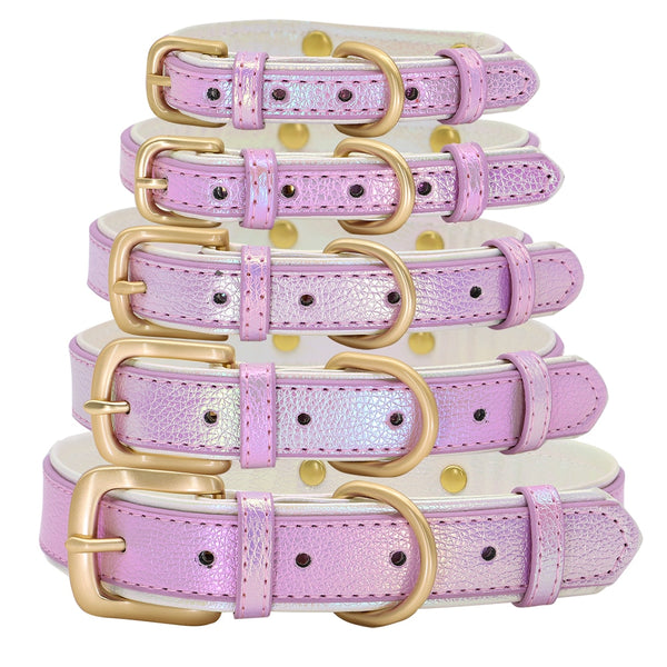 Load image into Gallery viewer, Pastel Chameleon - Personalised Collar