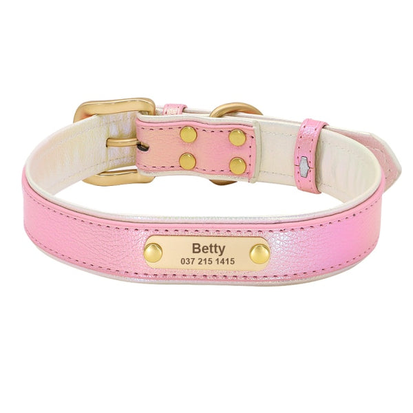 Load image into Gallery viewer, Pastel Chameleon - Personalised Collar