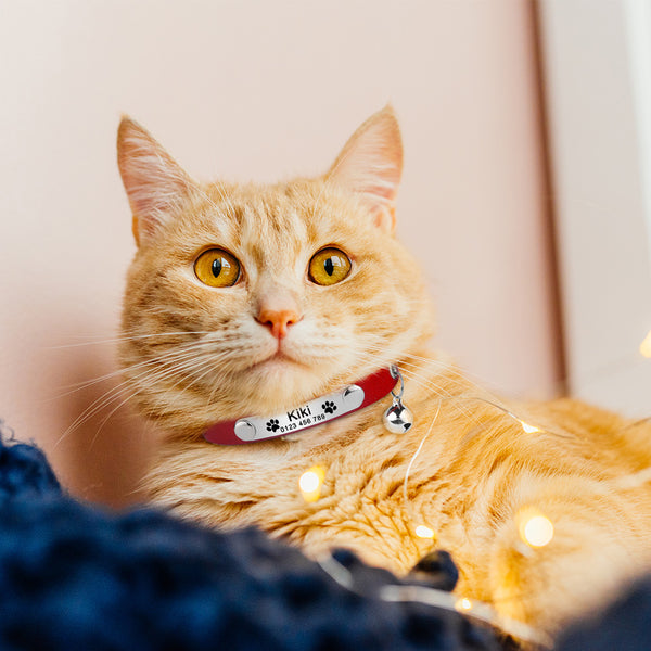 Load image into Gallery viewer, Kitty Paws - Personalised Cat Collar