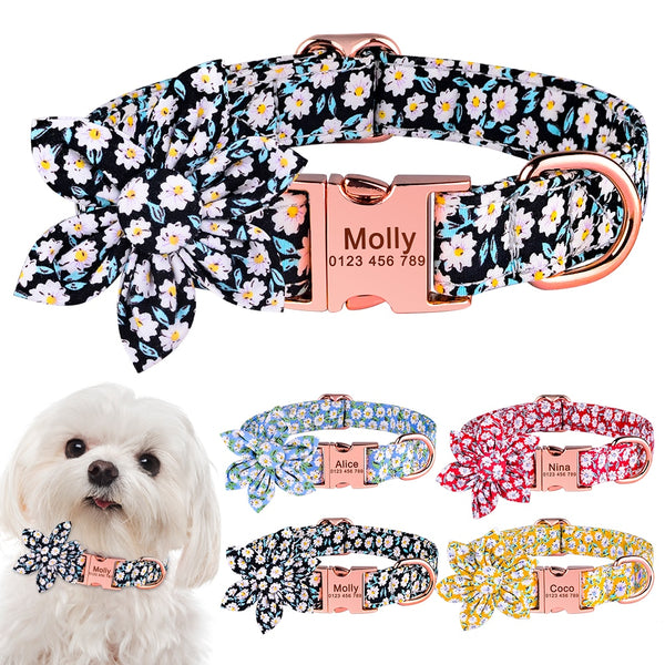 Load image into Gallery viewer, Dashing - Personalised Collar