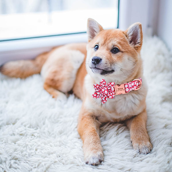 Load image into Gallery viewer, Dashing - Personalised Collar