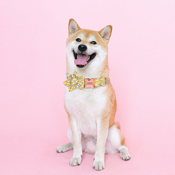 Load image into Gallery viewer, Dashing - Personalised Collar