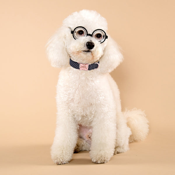 Load image into Gallery viewer, Sunday Best Black Polka - Personalised Collar