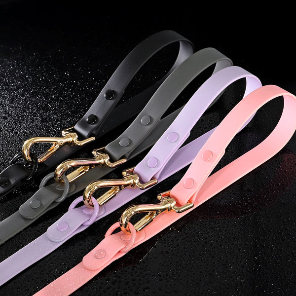 Load image into Gallery viewer, Jelly Paws - 2 Piece Set - Leash & Personalised Collar