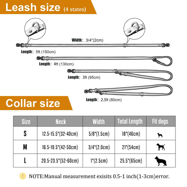 Load image into Gallery viewer, Jelly Paws - 2 Piece Set - Leash & Personalised Collar