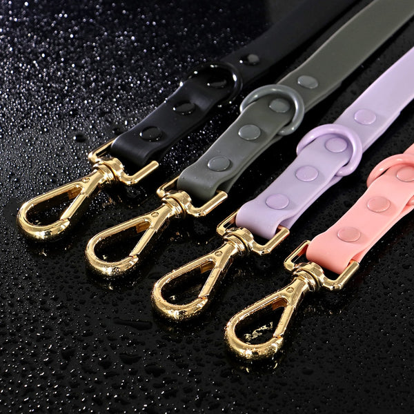 Load image into Gallery viewer, Jelly Paws - 2 Piece Set - Leash & Personalised Collar