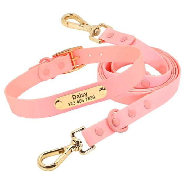 Load image into Gallery viewer, Jelly Paws - 2 Piece Set - Leash & Personalised Collar