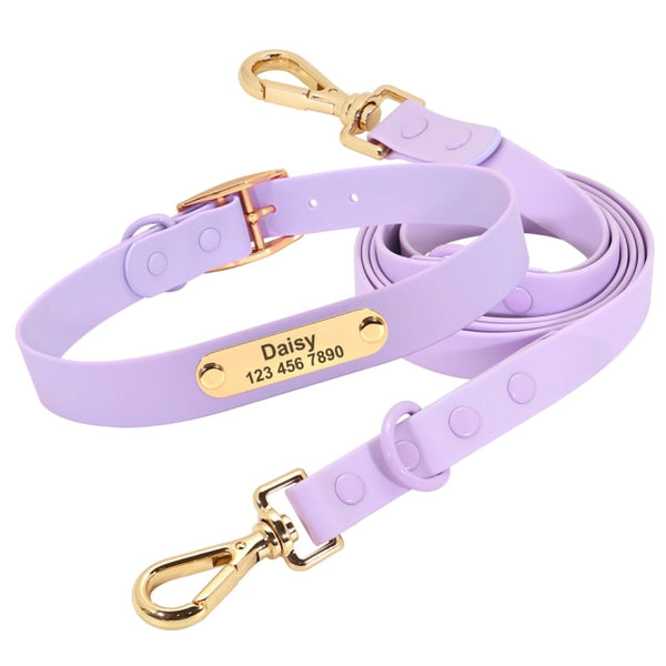 Load image into Gallery viewer, Jelly Paws - 2 Piece Set - Leash & Personalised Collar