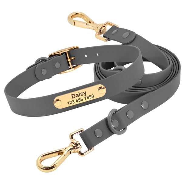 Load image into Gallery viewer, Jelly Paws - 2 Piece Set - Leash & Personalised Collar