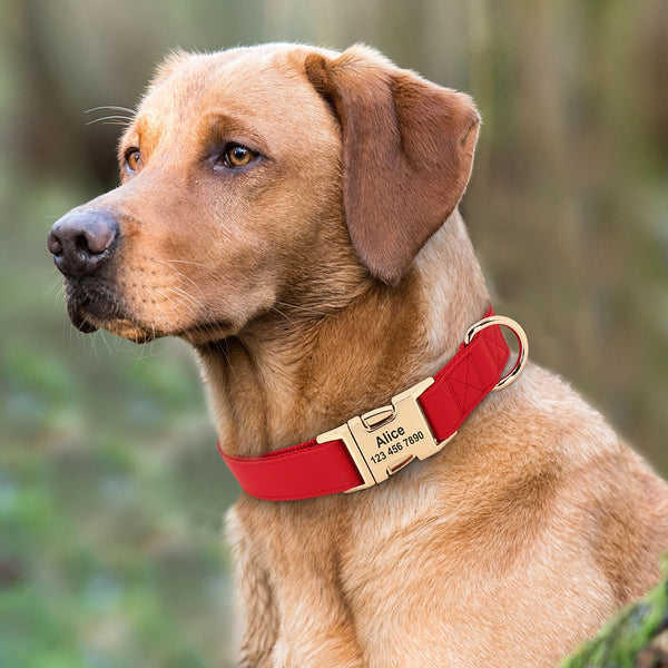 Load image into Gallery viewer, Sleek Pup - Personalised Collar