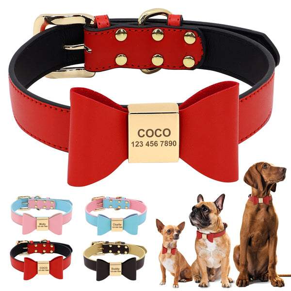 Load image into Gallery viewer, Bow Wow Meow - Personalised Collar
